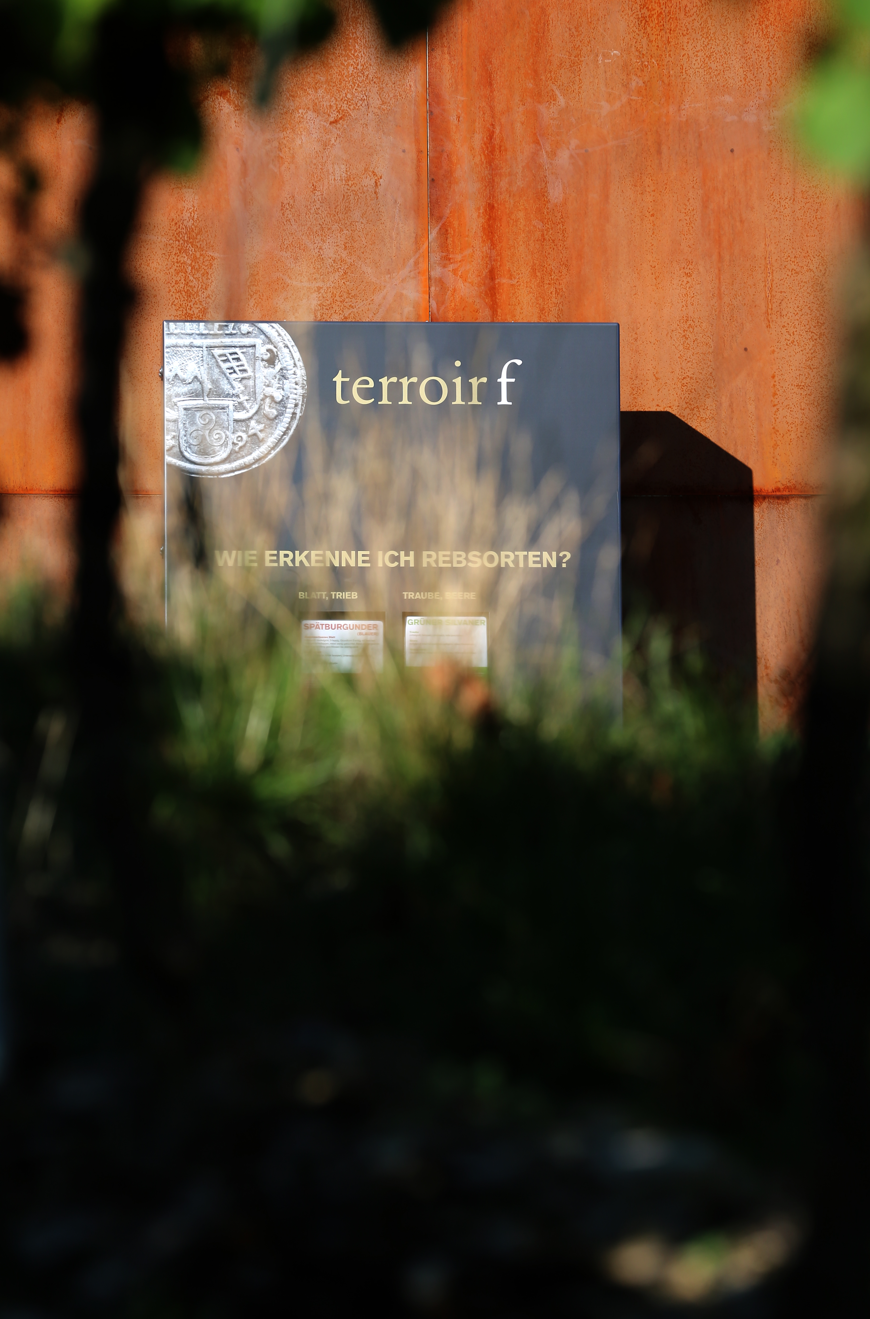 Verdeckte Sicht auf die Infotafel am terroir f Standort Eibelstadt